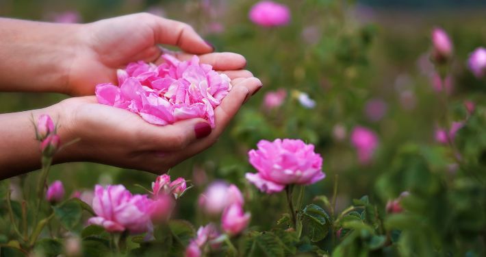 blog-details-content-img